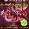 About The Same Old Shillelagh Song