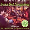 About The Fields Of Athenry Song