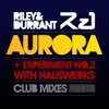 Experiment No. 2-Club Mix