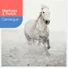 Camargue-Piano Mix