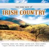 About A Little Country Town In Ireland Song