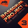 King Of The Style (Bassdrum Project Remix)