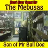 About Son Of Mr Bull Dog Song