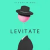 About Levitate Song