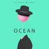 About Ocean Song