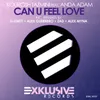 Can U Feel Love (Extended Mix)