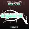 About Free Soul (Original Mix) Song
