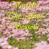 The Four Seasons, Concerto No. 4 in F Minor, Op. 8: RV 297, Winter - II. Largo