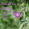 About Flor de Mexico Song