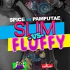 About Slim vs Fluffy Song