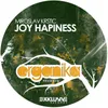About Joy Happiness (Original Mix) Song