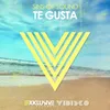 Te Gusta (Radio Edit)