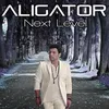 The Perfect Match (feat. Daniel Kandi) [Aligator's Chillout Remix] [Bonus Track]