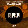 About Tamborzão-Original Mix Song