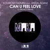 Can U Feel Love (Dj Bruno F Remix)