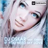 If You Need My Love-Remix 2013