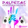 About Palmitas-Original Mix Song