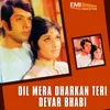 Mera Ghar Meri Jannat 2 (From "Devar Bhabi")