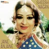 Ja Ja Tujh Se Nahin Boloon (From "Sheesh Nagan")