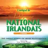 Amhran Na Bhfiann (The Irish National Anthem - Irish Version)