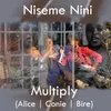 About Niseme Nini Song