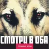 Смотри в оба