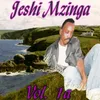 Jeshi Mzinga Vol. 1a, Pt. 2