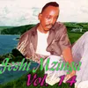 Jeshi Mzinga Vol. 14, Pt. 1