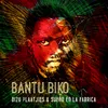 Bantu Biko