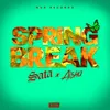 About Spring Break Song