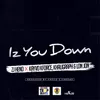 Iz You Down-Radio Edit
