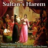 About The Sultan's Harem Song