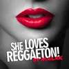 About She Loves Reggaeton Song