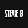 Love Me for Life-Stevie B vs. DJ Comet