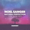 Natural Pefection-John C Remix