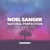 Natural Pefection-Mike Saint-Jules Planet Bounce Mix
