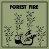 About Forest Fire Song