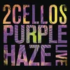 About Purple Haze (Live) Song