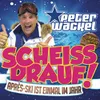 About Scheiss drauf! (...Apres-Ski ist einmal im Jahr) Song