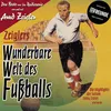 About Bundesliga 2004/05, 17. Spieltag - oder: Goethe, Schiller, Norbert Dickel Song