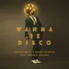 About I Wanna Be Disco Song