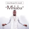 About Mhlaba Song
