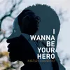 About I Wanna Be Your Hero Song