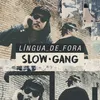 About Língua de Fora Song