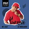 About Já Confirmou Song