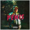 About PENIS Song