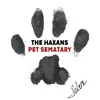 About Pet Sematary Song