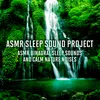 ASMR Sleep Binaural Synthesizer and Birds Sounds 2