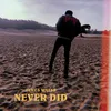 About Never Did Song