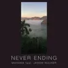 About Never Ending Song